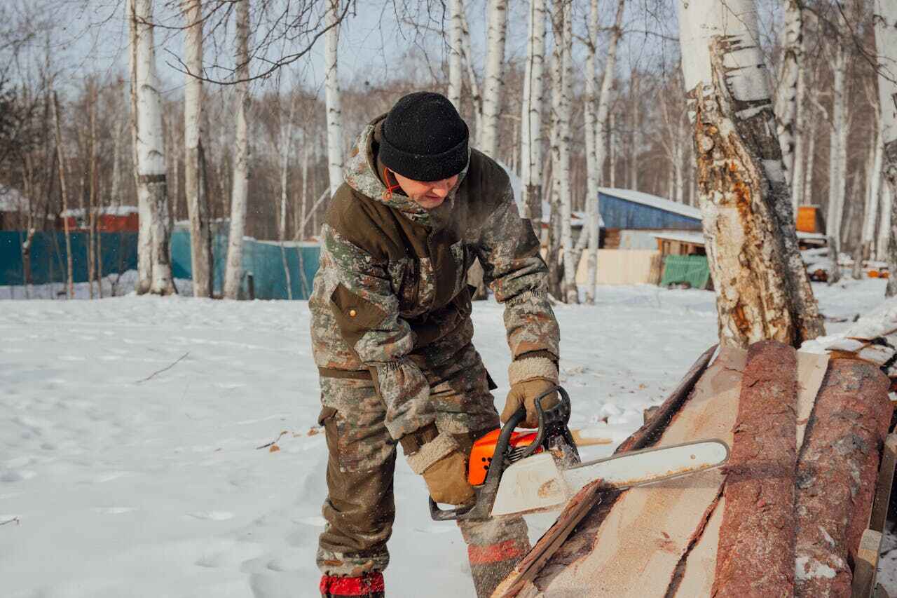 Tree Removal for Businesses